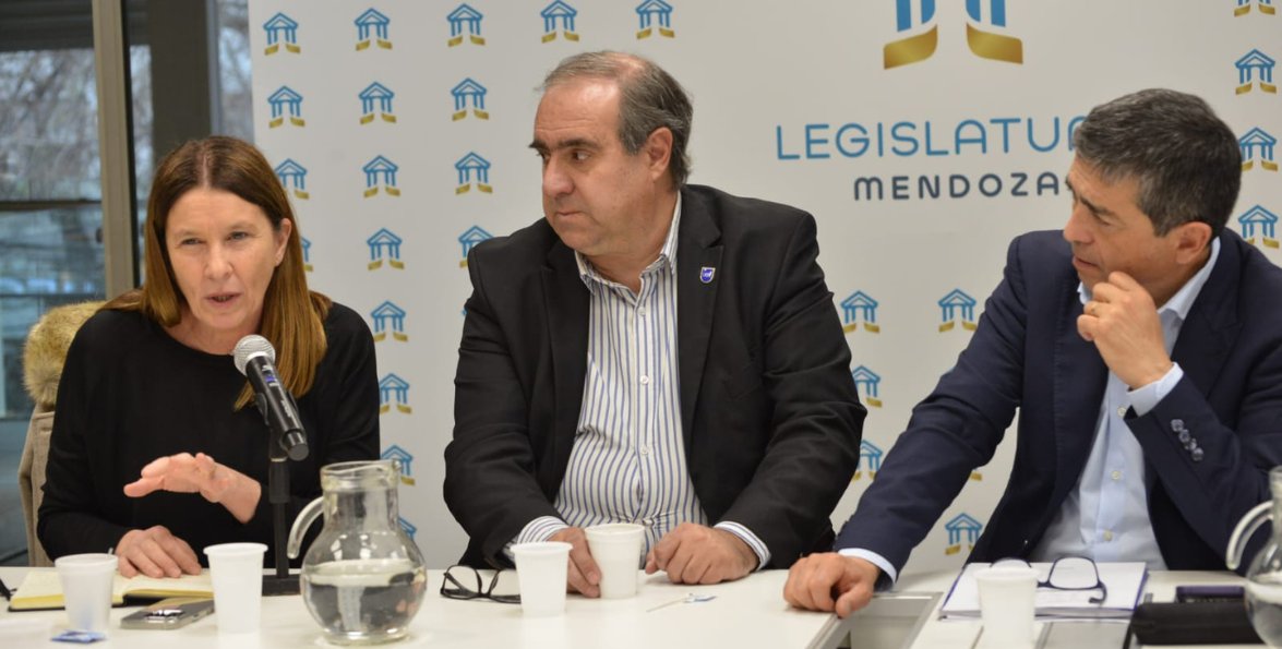 Reunión de comisión en la Legislatura de Mendoza: una expositora habla al micrófono junto a dos legisladores.