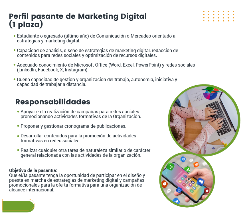 Folleto con el perfil de pasante de Marketing Digital, sus responsabilidades y objetivo.