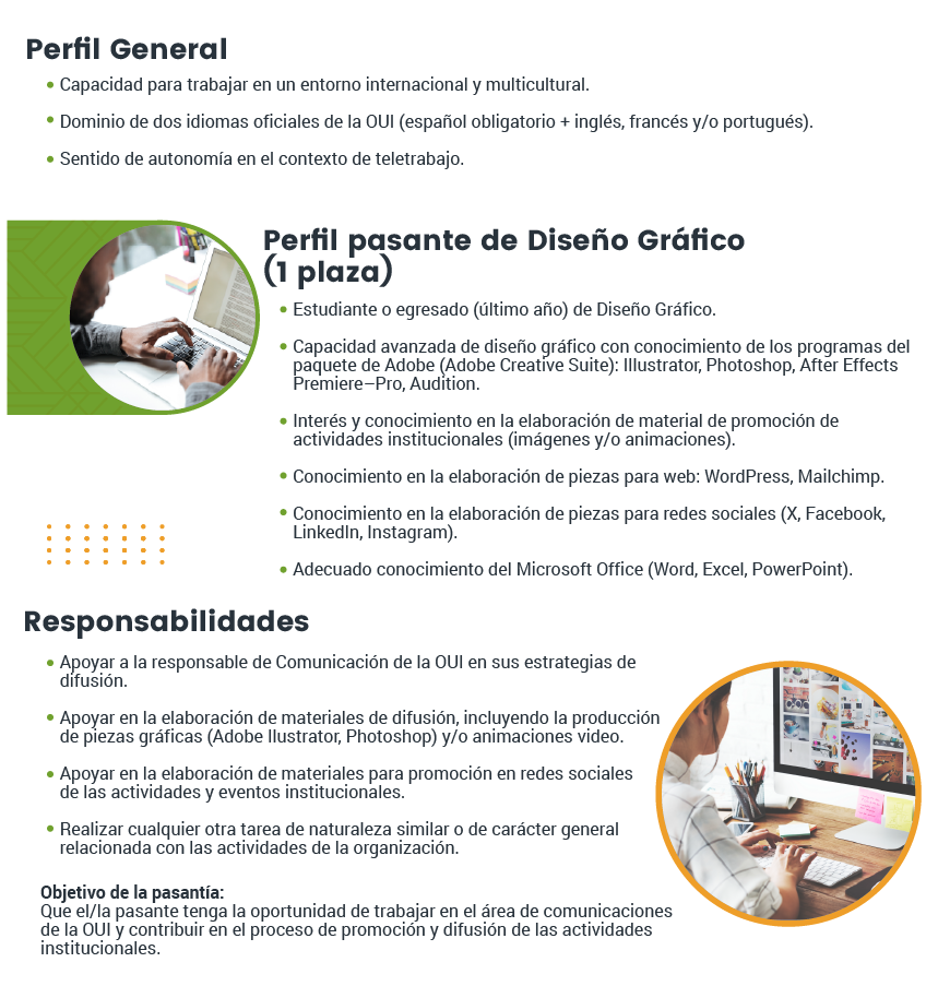 Folleto con el perfil general y el perfil de pasante de Diseño Gráfico, con sus responsabilidades.
